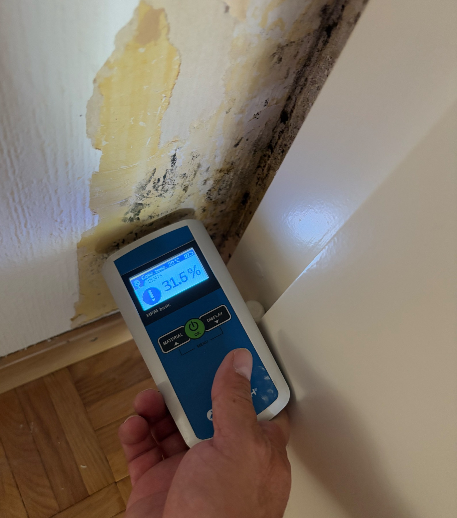 Traitement professionnel des moisissures sur mur intérieur